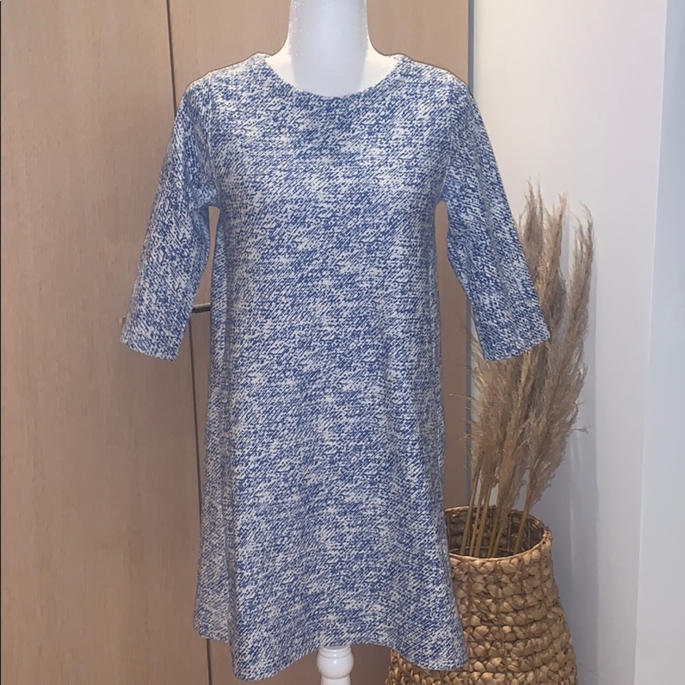 Zara Knit dress